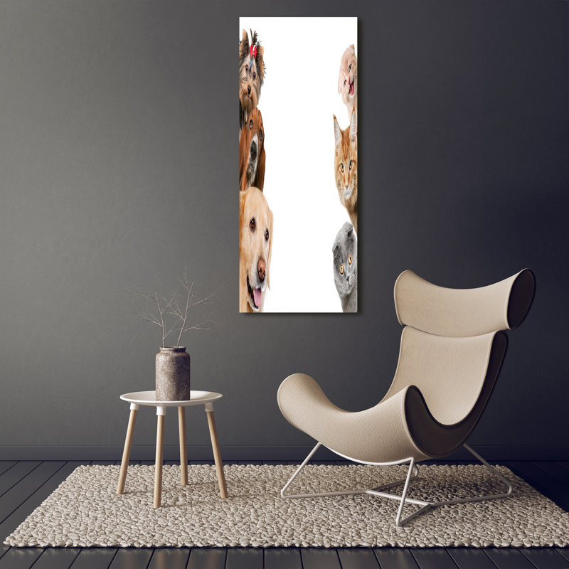 Dogs And Cats - Wrapped Canvas Print