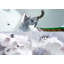 Pied de chat pour mur