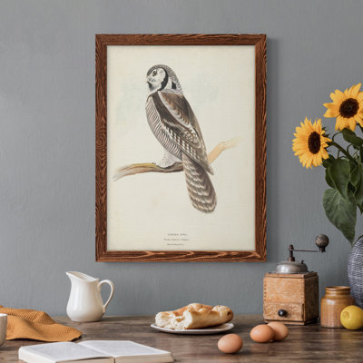 Toile encadrée de qualité supérieure Canada Owl - prête à être accrochée