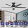 52" Elvert Flush Mount Ceiling Fan with LED Lights