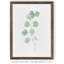 « mou eucalyptus branch iv » par paul cezanne-photo, reproduction d’art encadrée-1378864494-1378864489-1378835973