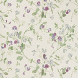 Anthology Sweet Pea Floral Wallpaper Roll