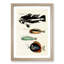 East Indies Fish Illustrations Fol. 9 by Louis Renard - Picture Frame Graphic Art Print-55537327-55537328