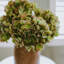 Hydrangea Faux Floral