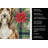 Brown Bearded Collie Christmas PoinsettIas Kitchen Towel-2080583754