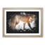 Red Fox In The Winter - Picture Frame Graphic Art-56876348-56876351
