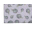 Tapis de cuisine antidérapant Summer Artichaut-1736111638-1736111639