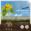 Lit de jardin surélevé galvanisé Outsunny, boîte à fleurs en métal 8 pi x 3 pi x 1 pi, pour cultiver des légumes, des fleurs, des herbes et des plantes grasses