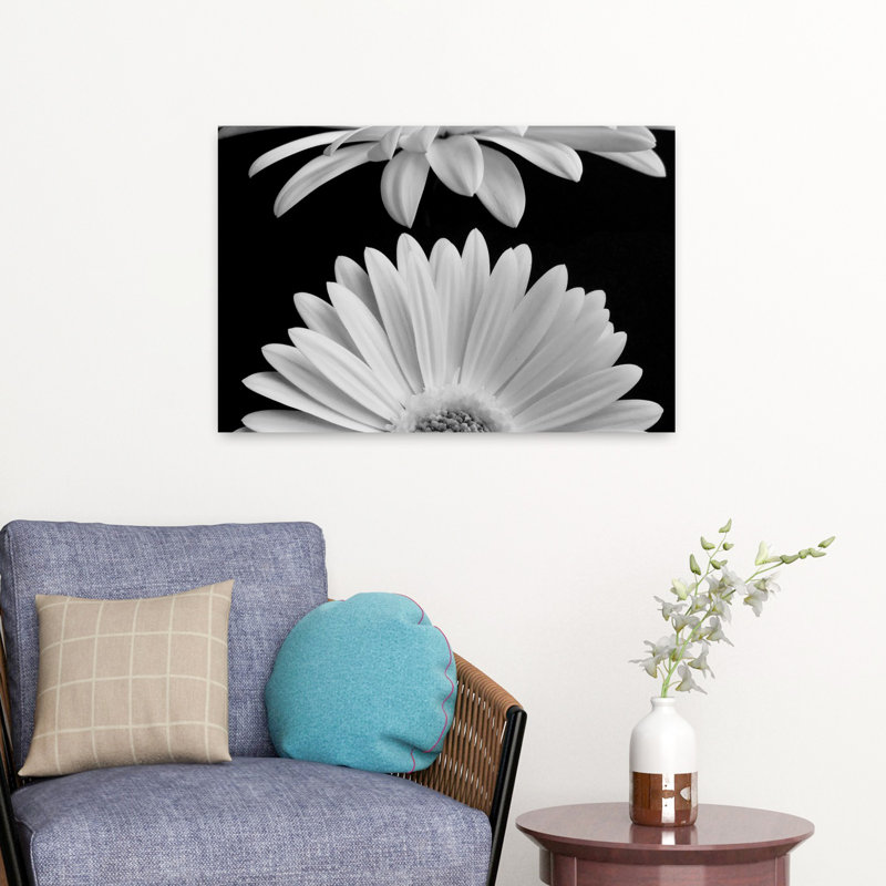 Marguerites, sérénité, sérénité, art floral contemporain, H 16 po x l 24 po