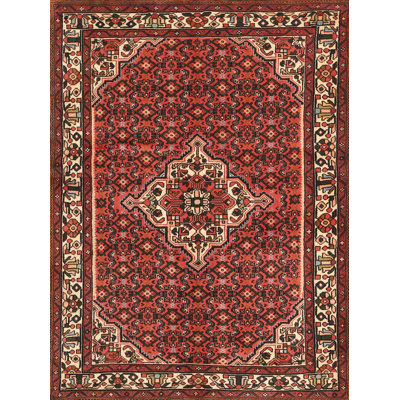 Oriental Indoor Rug