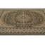 Oriental Area Rug in Green/Brown