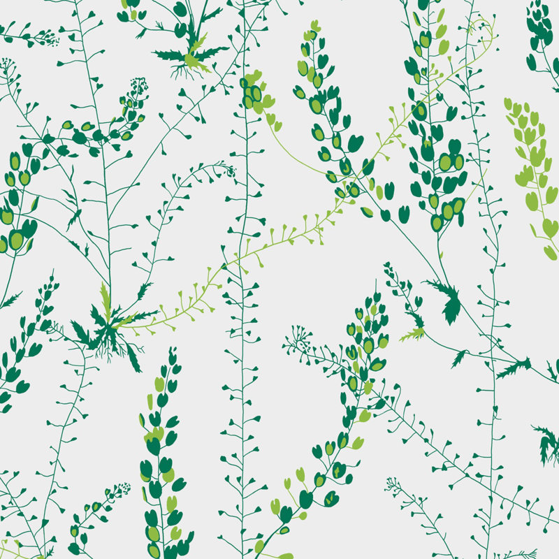 Boråstapeter Bladranker Wallpaper, Green/White
