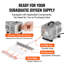 Rogene Plug-in Pump