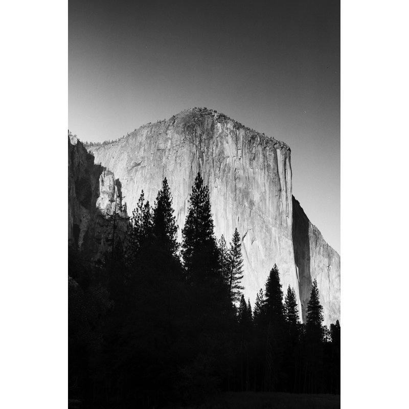 El Capitan In Trees by Bradford Smith - Print on Canvas, Wrapped Canvas, 30cm H x 20cm W