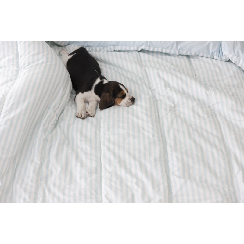 Sleepy Puppy by Aleaimage, 12" H x 18" W