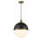 Blosser Metal Globe Single Pendant with Glass Shade-1763811458-1763811459