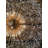 Luxe Starburst Crystal Statement Chandelier-248832640-248832654-172794574