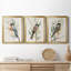 Tree Toppers I - Ensemble de 3 peintures sur toile encadrées-1031297113-1031297092