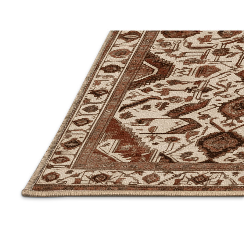 Tapis brun lavable à la machine, Rectangulaire 2 pi x 3 pi