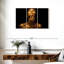 Sh Shoresworth Lady Gold Chic-106322788