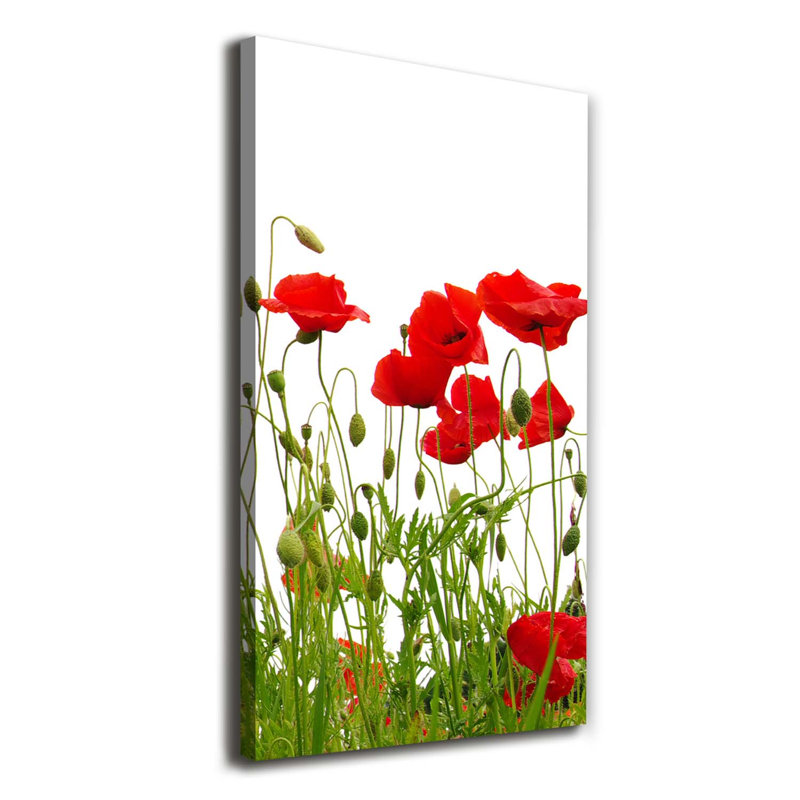 Field Poppies - Wrapped Canvas Print