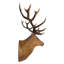 Sculpture murale «Big Antler Buck»