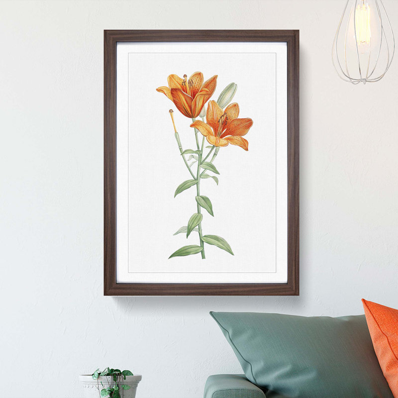 Orange Lily Flowers by Pierre-Joseph Redoute - Picture Frame Painting Print, 36cm H x 27cm W x 2cm D, Walnut Framed