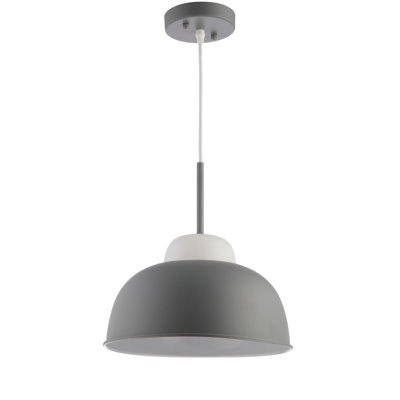 Damarion Single Light Metal Dimmable Pendant