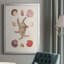 Knorr Shells & Coral II, reproduction encadrée de qualité supérieure - prête à être accrochée-88272420-88272421
