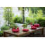 Tomato Earthenware Dinner Plate