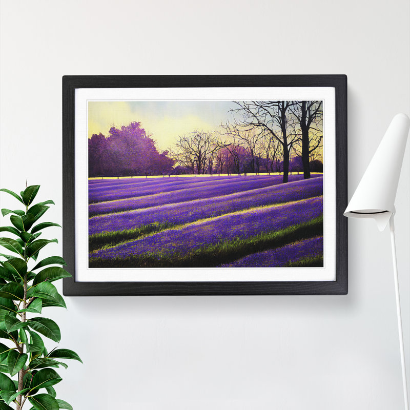 Tranquil Bluebell Field Sunrise - Single Picture Frame Print, Black Framed, 46cm H x 64cm W x 2cm D