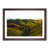 Walnut Framed selected