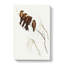 Little Woodswallows by Elizabeth Gould - Wrapped Canvas Art - Wrapped Canvas-55365044