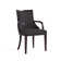 Elianys 18.5'' H Upholstered Beech Armchair