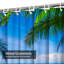 Tropical Beach Palm Tree Abstract Shower Curtain with 12 Hooks-1974977887