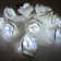 Aimee-May Indoor 10 - Bulb 72'' Battery Powered LED Novelty String Light