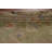 One-of-a-Kind Rectangle Rectangle 9' X 12' Cotton Area Rug