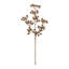 Beaded Berry-1412943474-1412943477