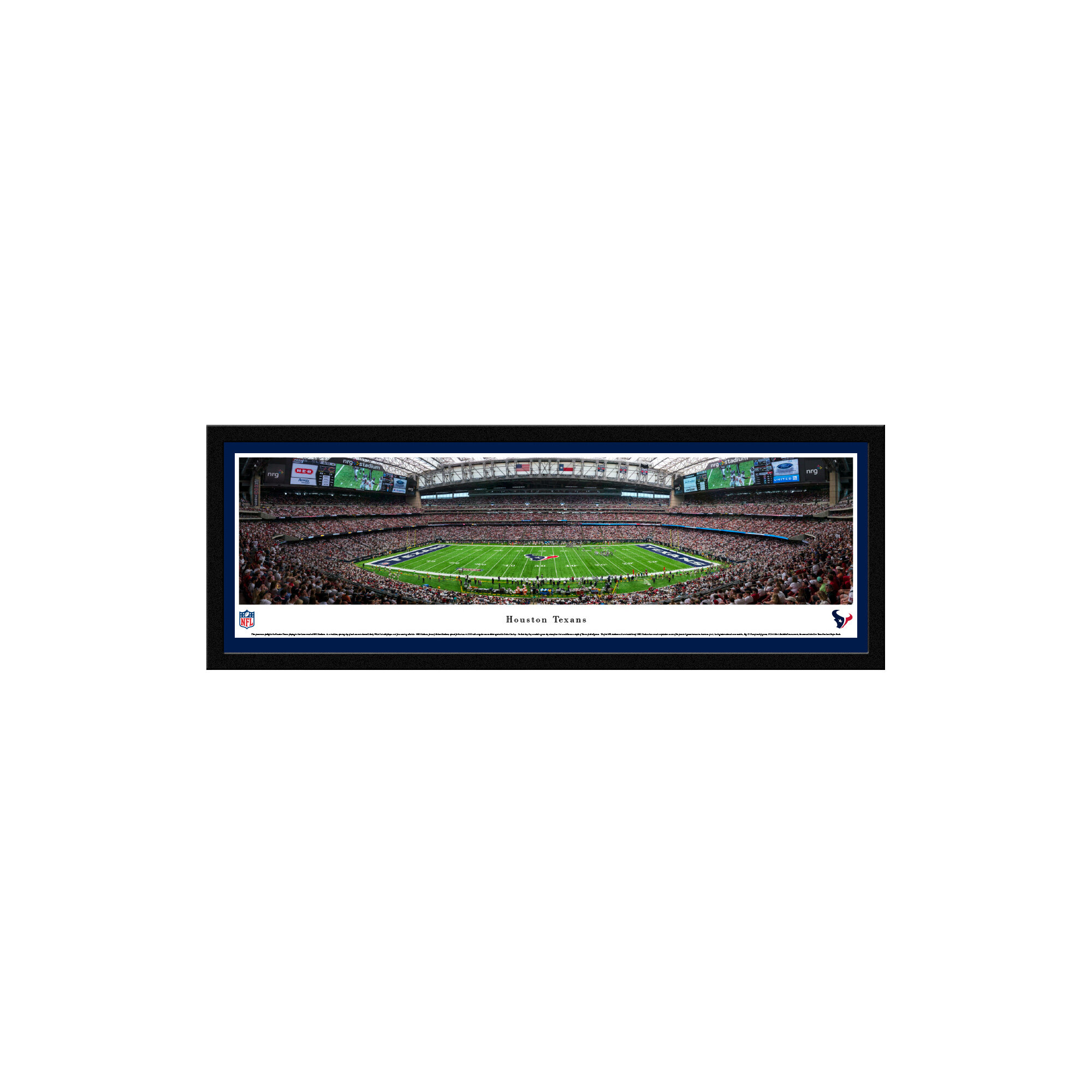 Houston Texans Panoramic - Reliant Stadium Picture - End Zone