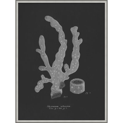 Briny Deep 6 Print