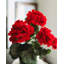 Red Artificial Geranium Bush 15"-1629443051