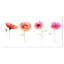 «Watercolor Poppy Flowers S Croquis», impression sur toile tendue-19240331