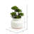 11'' Faux Succulent in Ceramic Pot