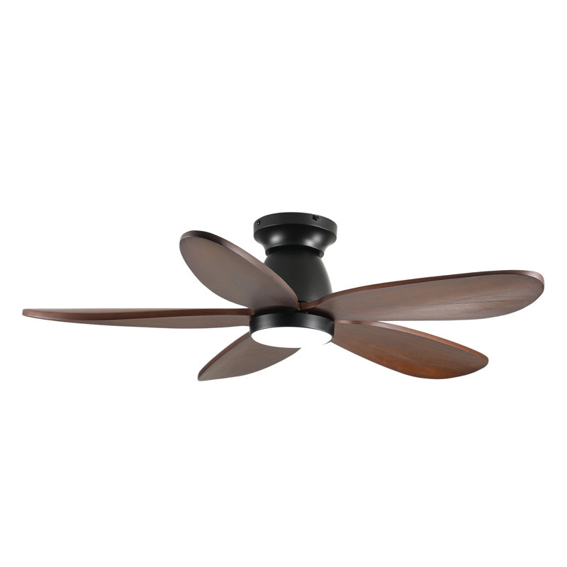 Ventilateur de plafond standard à DEL 5 pales de 42 po avec télécommande et ensemble d'éclairage pour salon