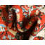 Tapis terre cuite à motif floral Britannia-28878815