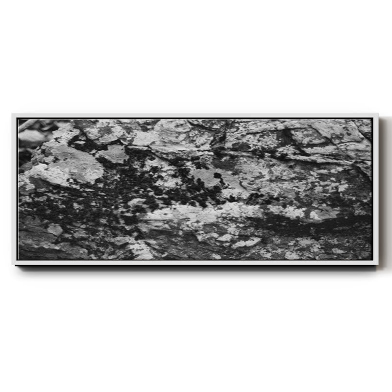 Found Textures XX- Framed Canvas