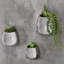 Ceramic Wall Planter-1699787903