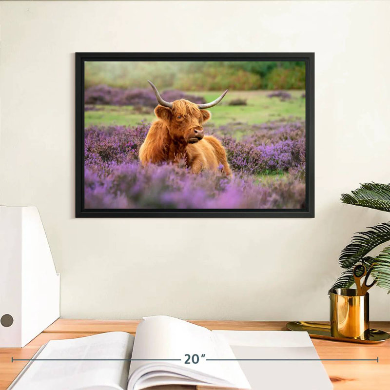 Brampt Highland Cow Paradise, H 9 po x l 13 po