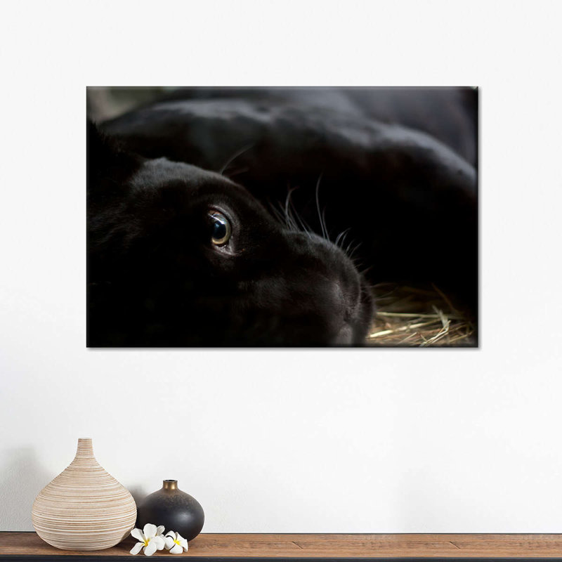 " Comfortable Black Panther Canvas Print ", 8" H x 12" W x 1" D