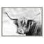 Maldando Hairy Highland Hazy Day par Danita Delimont - photographie de cadre-59846070-59846071